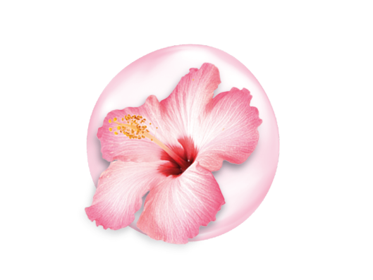 Hibiscus Flower