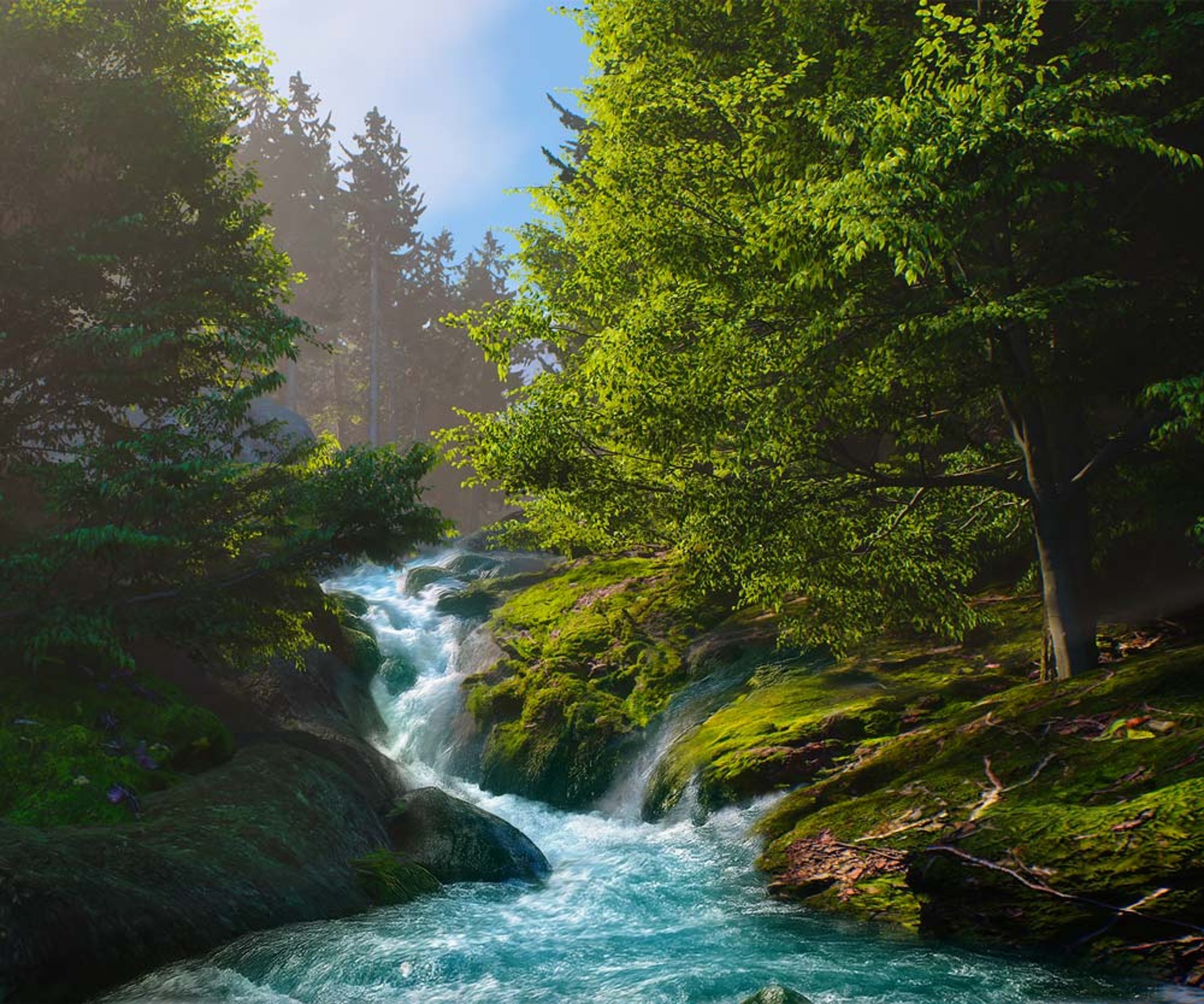 Forest with stream