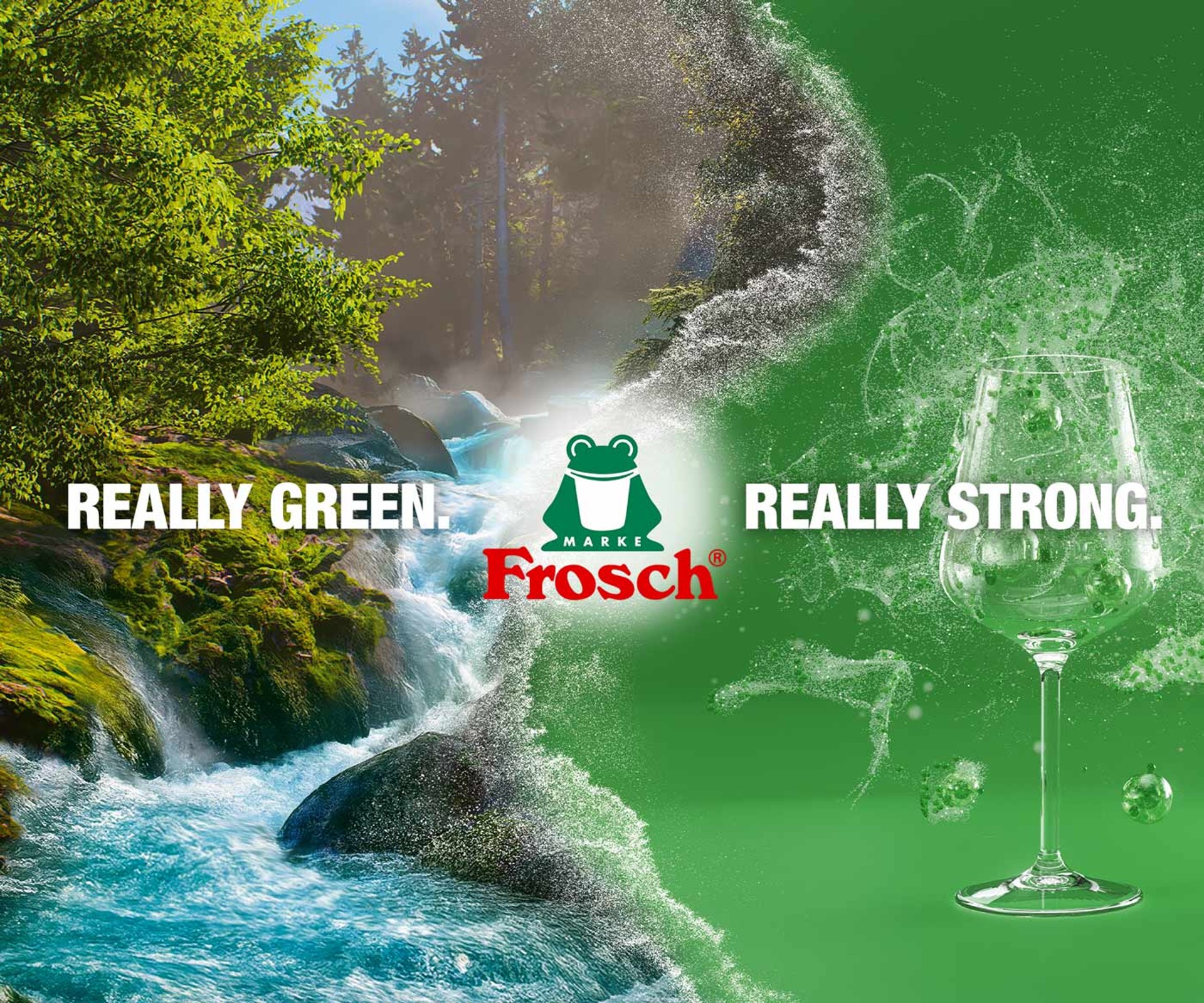 Frosch celebrates 40 years